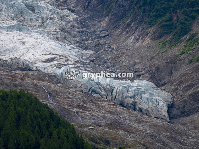 Glacier de Taconnaz (Chamonix, Haute-Savoie, France) - gryphea.org